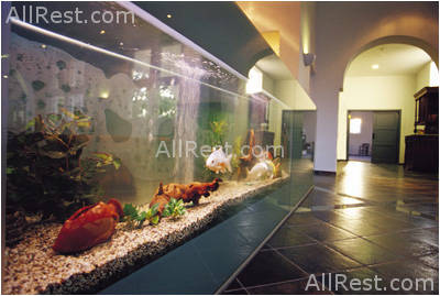 Minos Beach Art Hotel 14